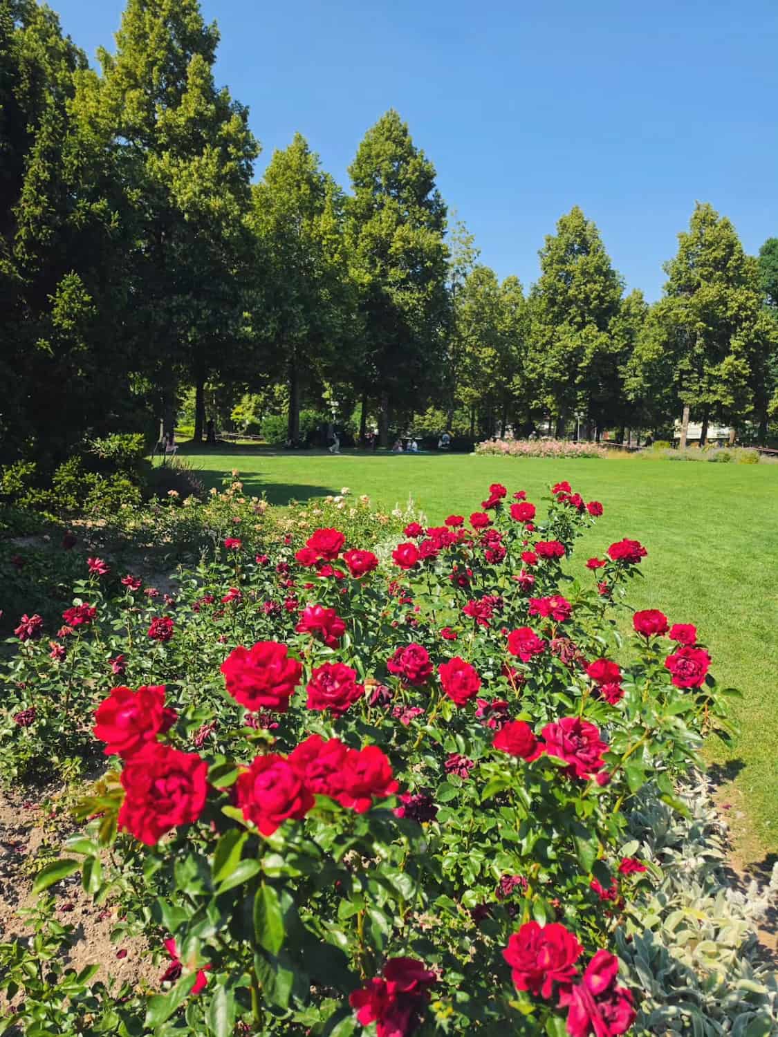Rosengarten, Bern Rosengarten, Bern