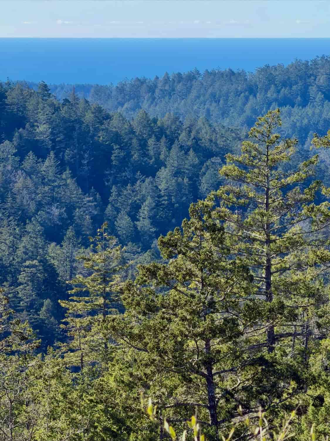Santa Cruz Mountains Santa Cruz Mountains