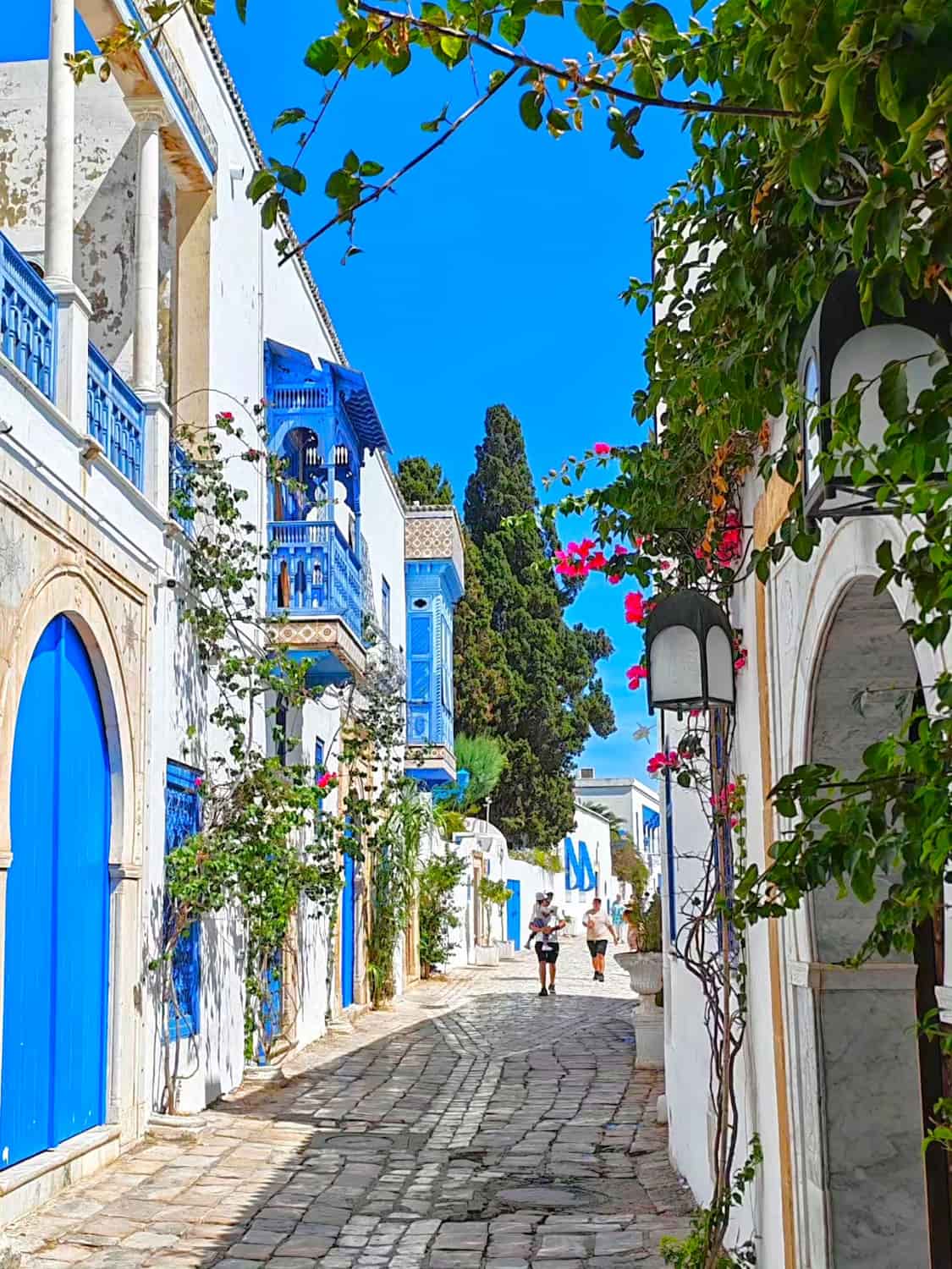 Sidi Bou Said & La Marsa, Tunisia Sidi Bou Said & La Marsa, Tunisia