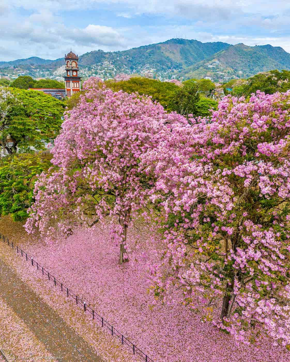 Trinidad, Trinidad and Tobago Trinidad, Trinidad and Tobago