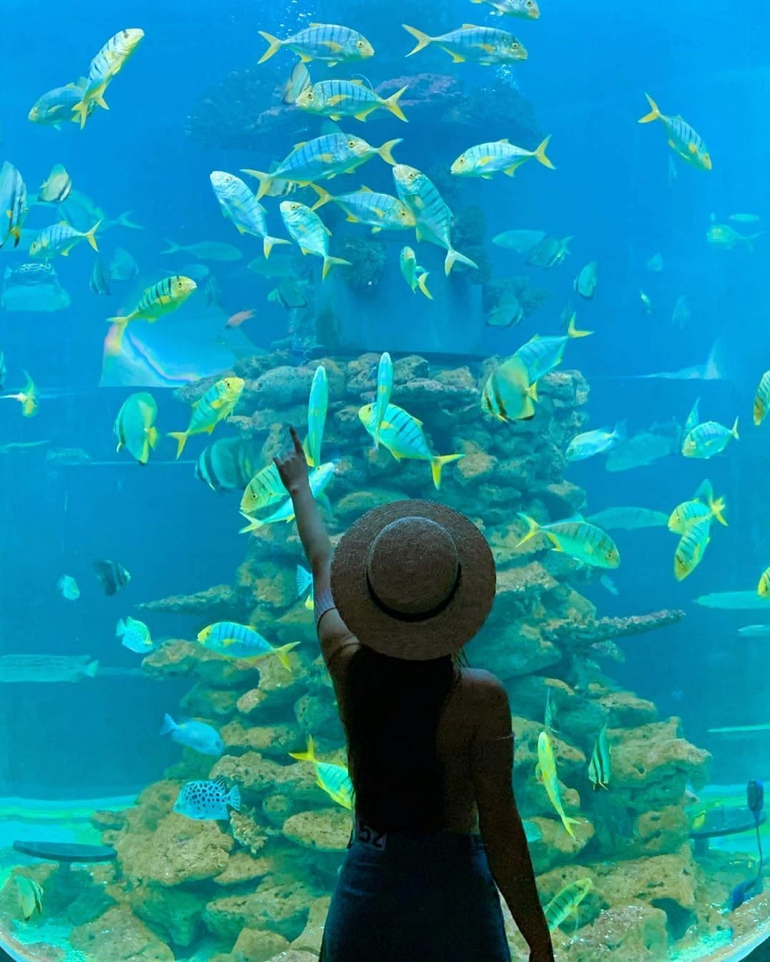 Vinh Nguyen, Nha Trang Vinh Nguyen, Nha Trang