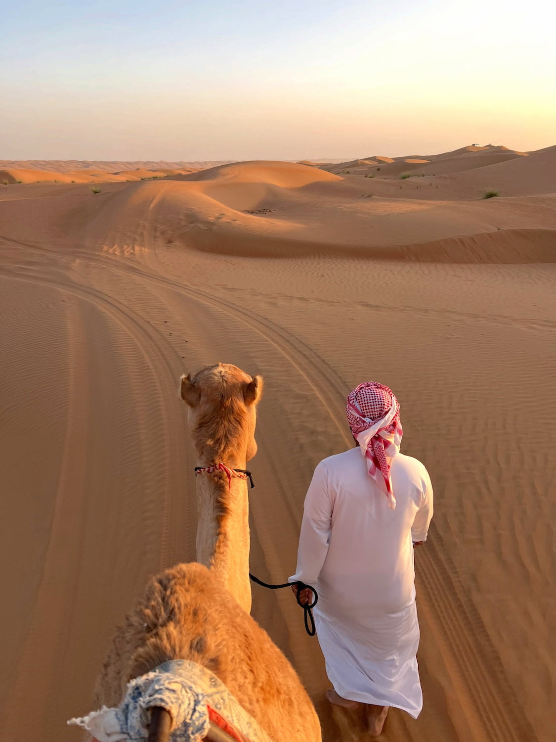 Wahiba Sands, Oman Wahiba Sands, Oman