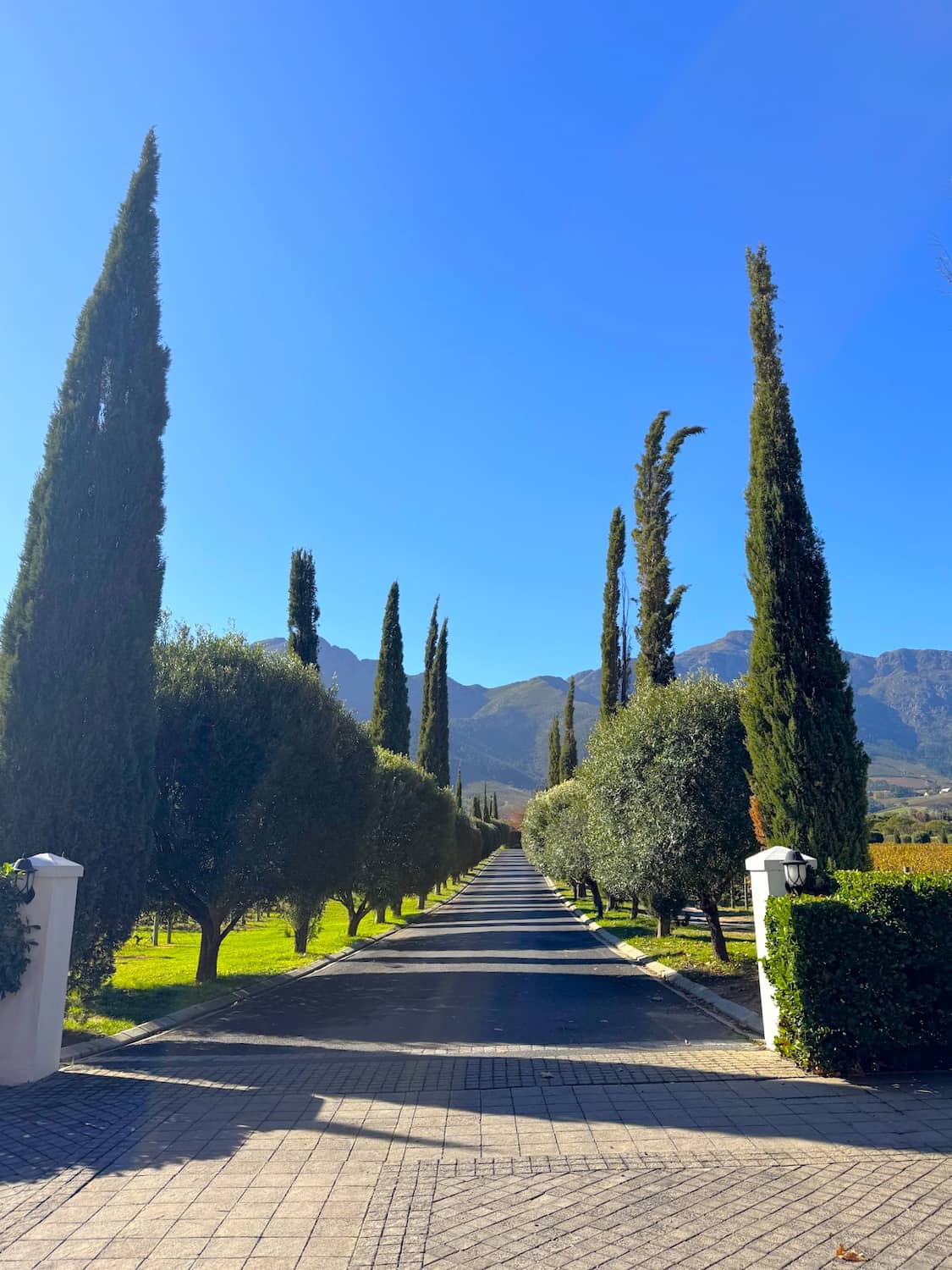 Wine Tram Terminal Area, Franschhoek Wine Tram Terminal Area, Franschhoek