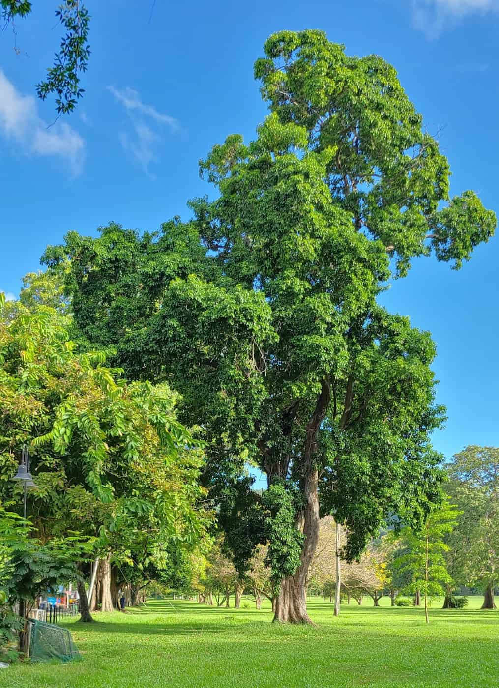 Woodbrook & St. Clair, Trinidad Woodbrook & St. Clair, Trinidad