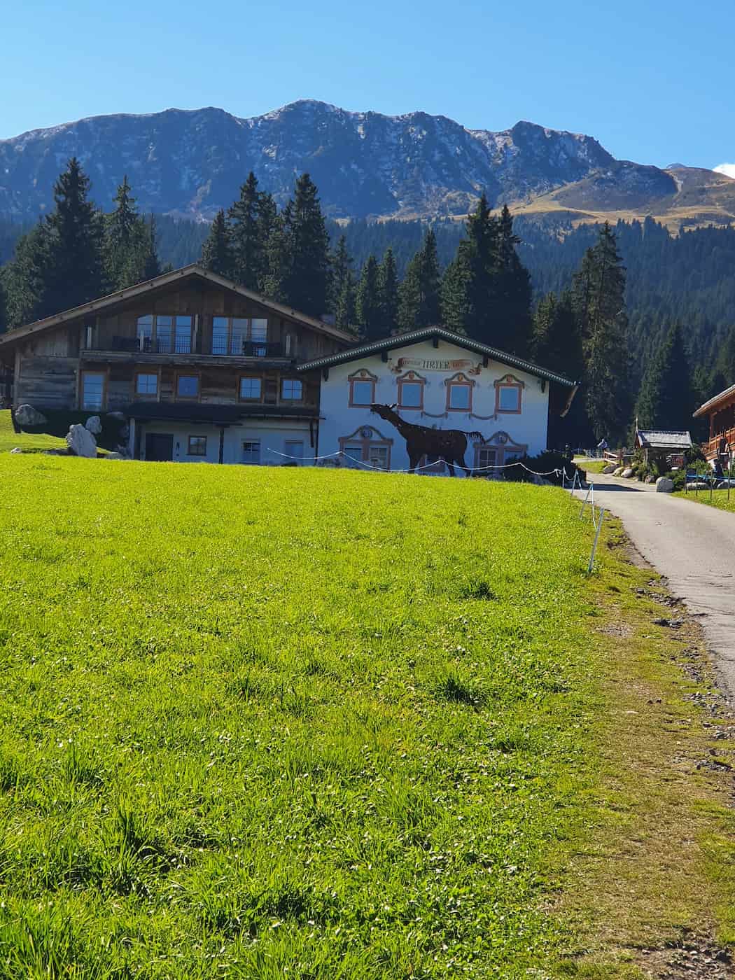Alpe di Siusi Gondola Area, Ortisei (1)