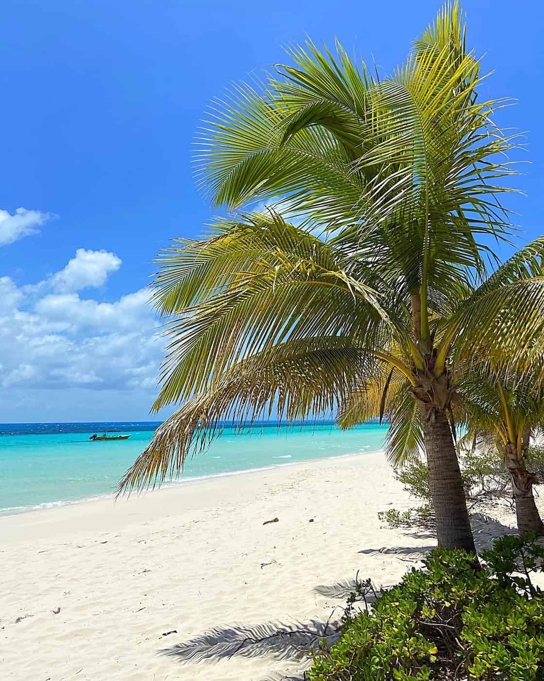Fayaoué, New Caledonia Fayaoué, New Caledonia
