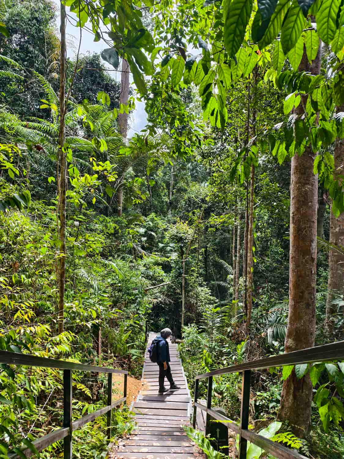 Inside the Park, Taman Negara Inside the Park, Taman Negara