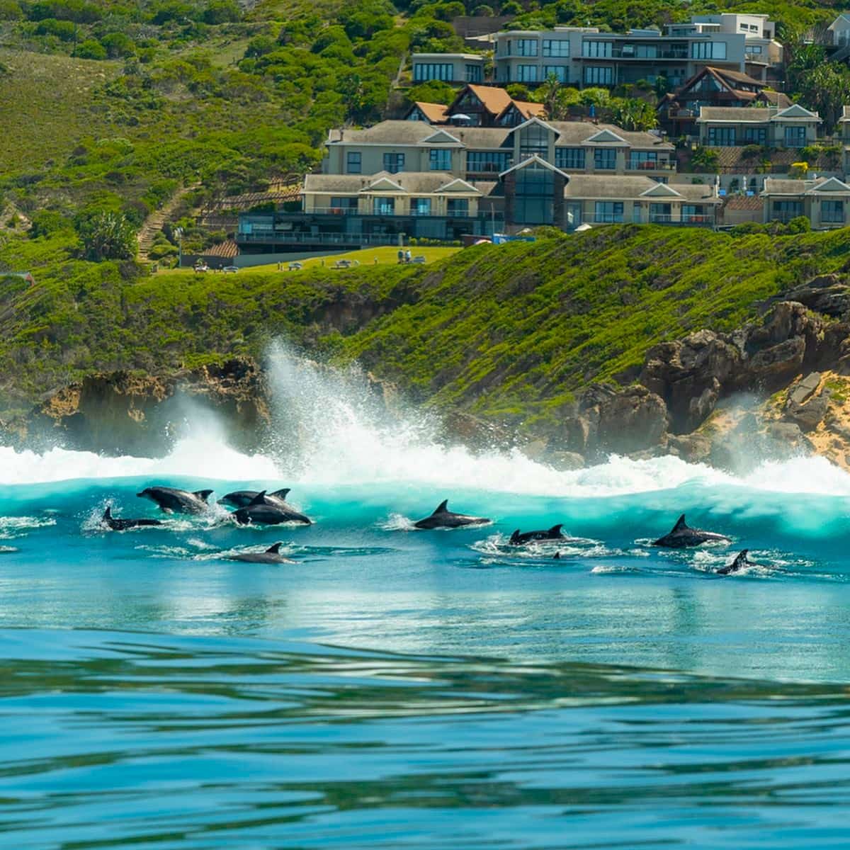 Jeffreys Bay, South Africa Jeffreys Bay, South Africa