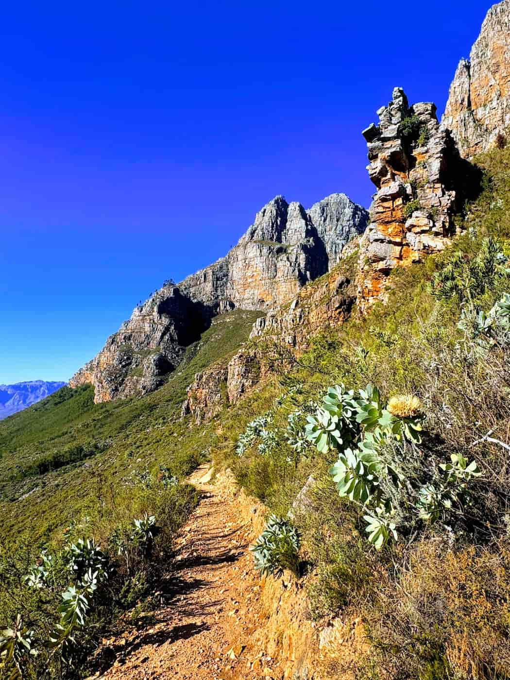 Jonkershoek Valley, Stellenbosch Jonkershoek Valley, Stellenbosch
