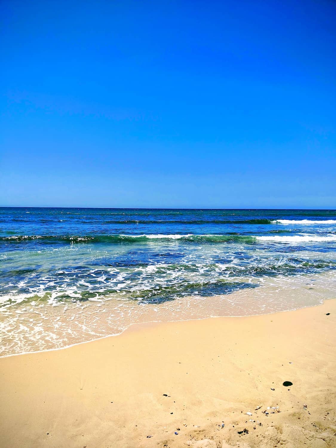 Kabeljous, Jeffreys Bay Kabeljous, Jeffreys Bay