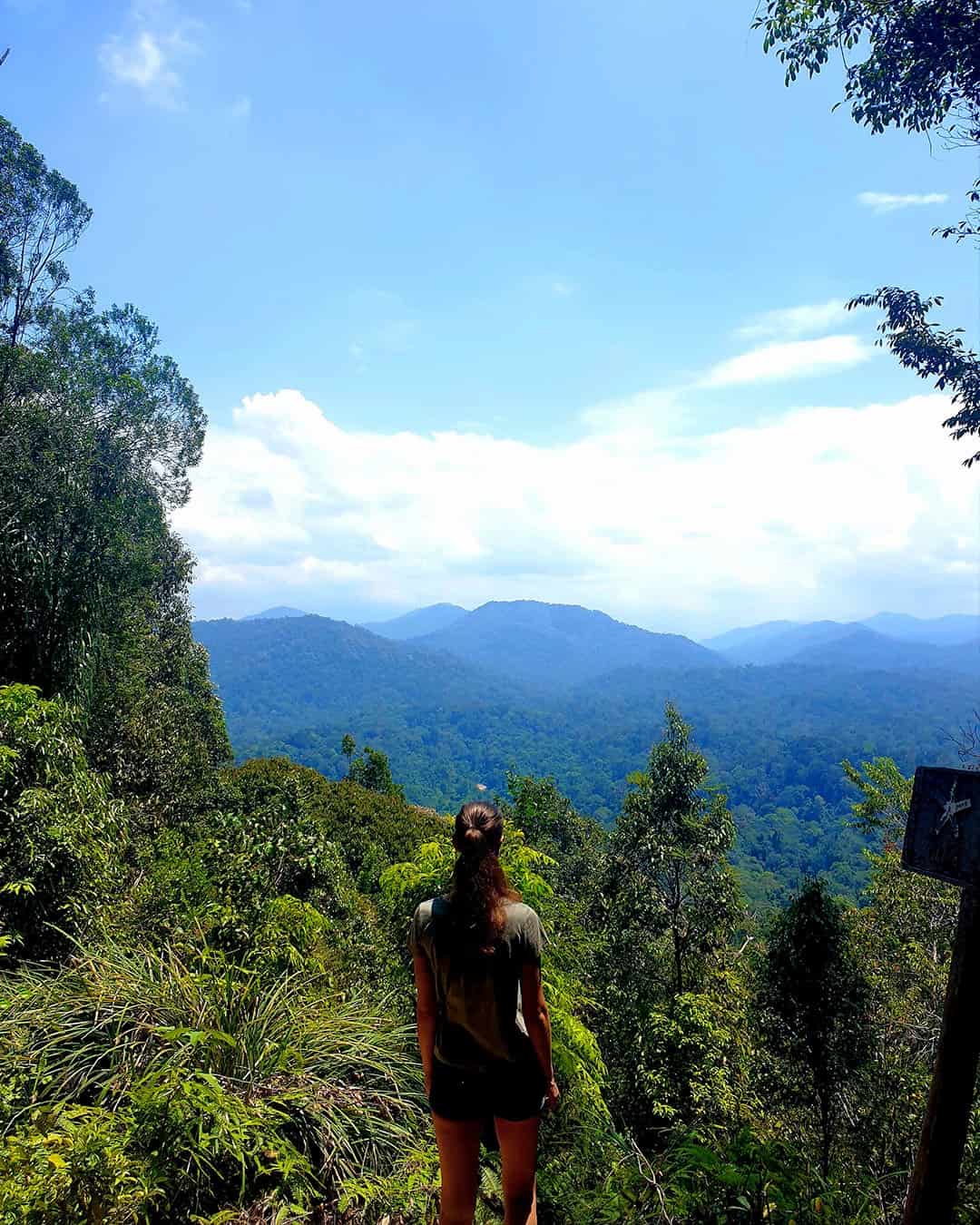 Kuala Tahan, Taman Negara Kuala Tahan, Taman Negara