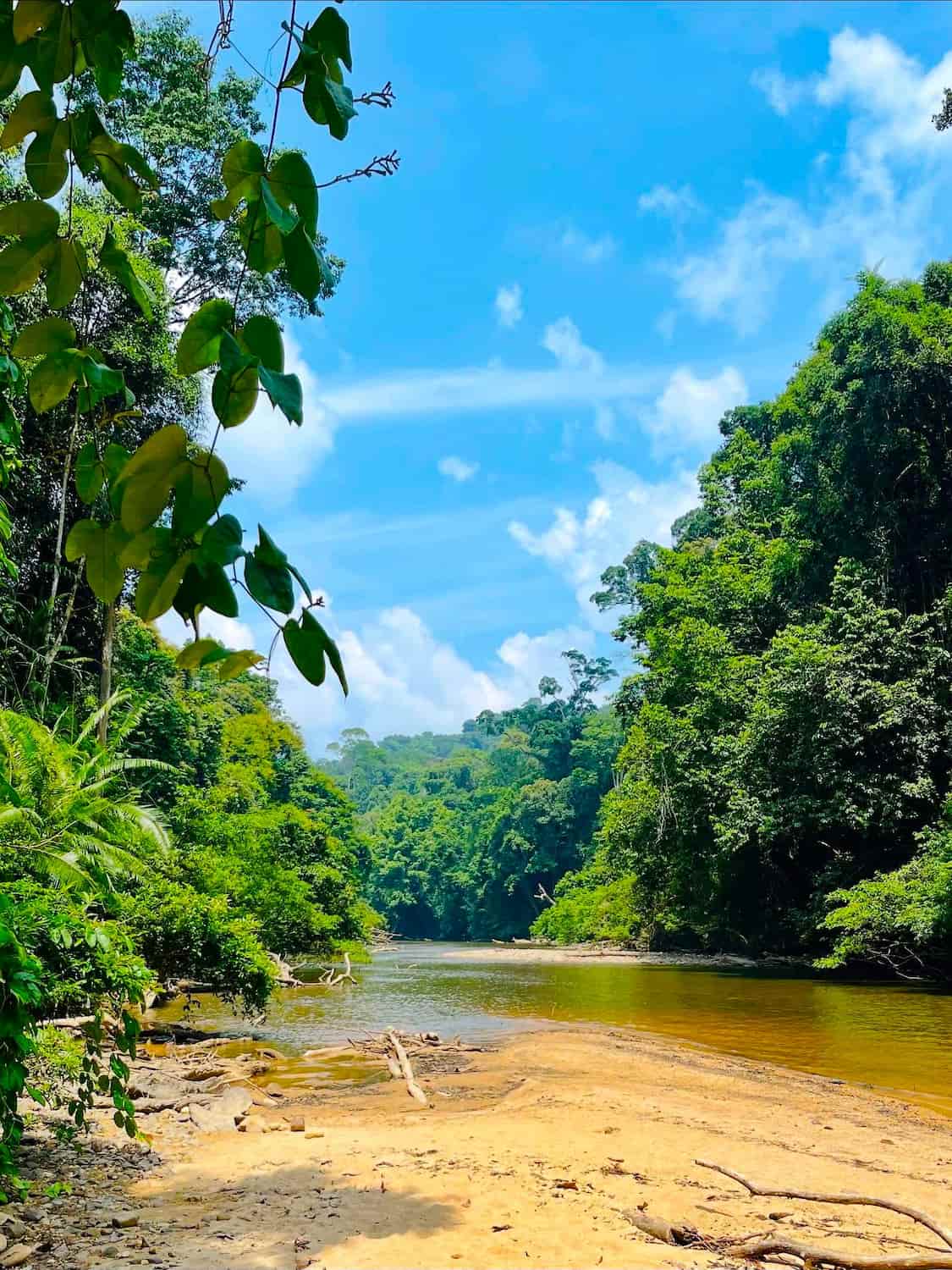 Kuala Tahan, Taman Negara Kuala Tahan, Taman Negara
