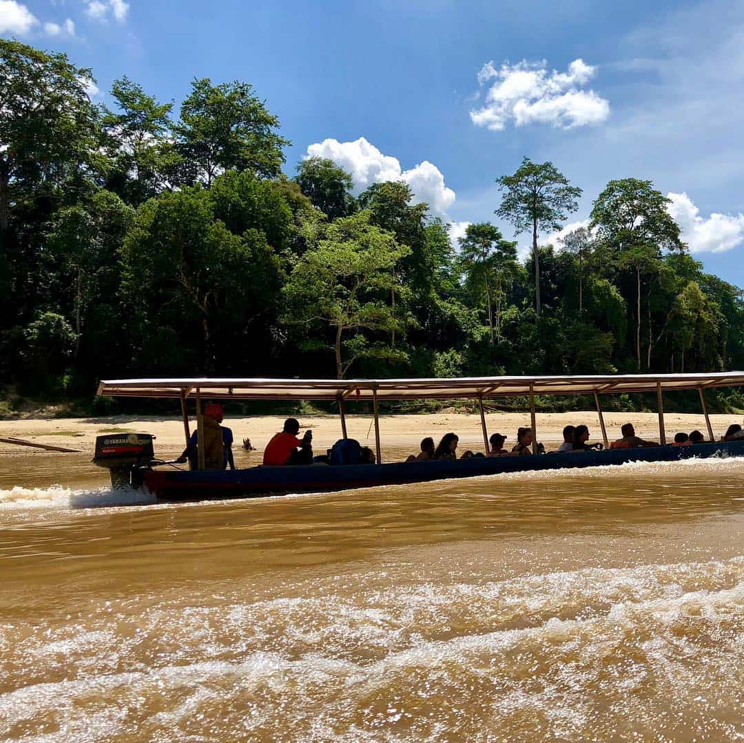 Kuala Tembeling, Taman Negara Kuala Tembeling, Taman Negara