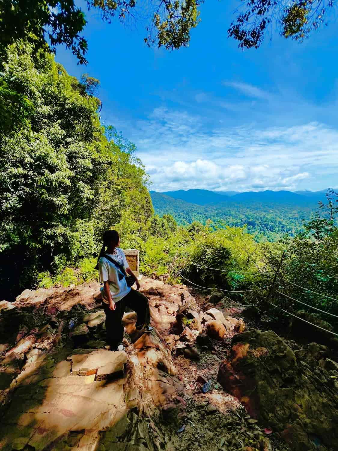 Kuala Tembeling, Taman Negara Kuala Tembeling, Taman Negara