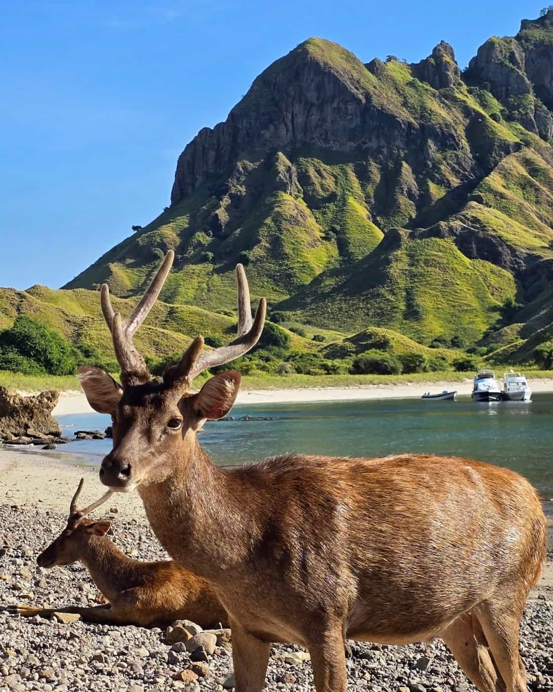 Labuan Bajo, Indonesia Labuan Bajo, Indonesia