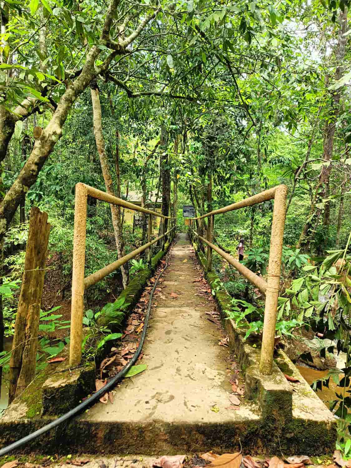 Merapoh, Taman Negara Merapoh, Taman Negara