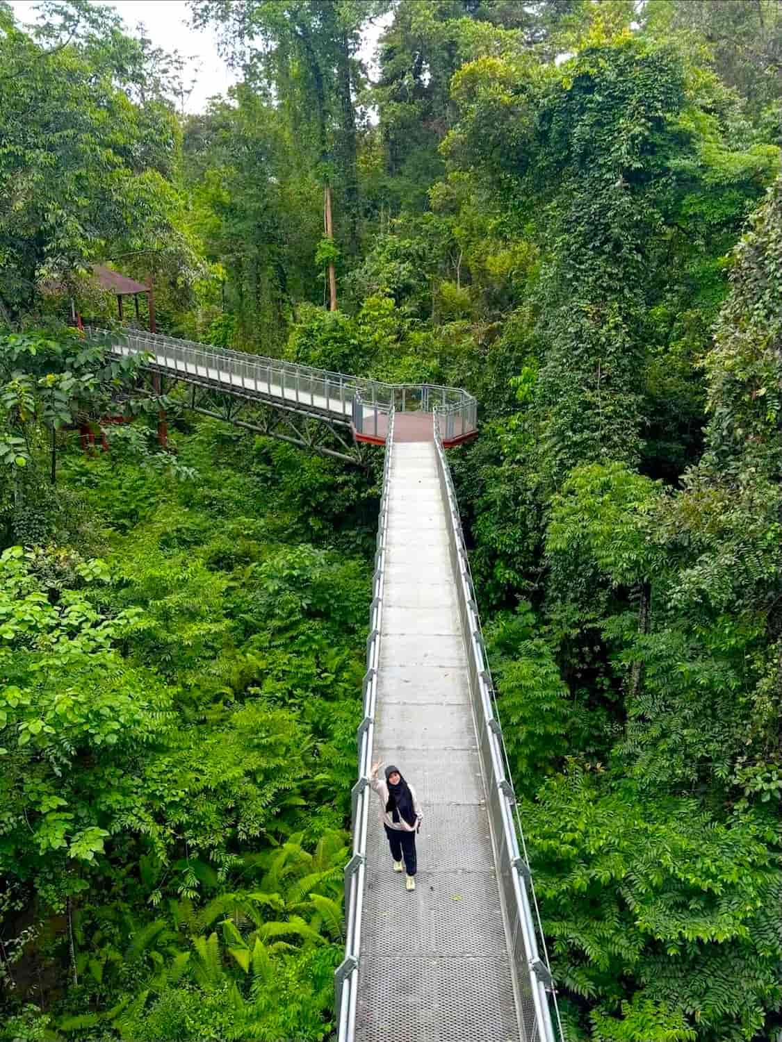 Merapoh, Taman Negara Merapoh, Taman Negara