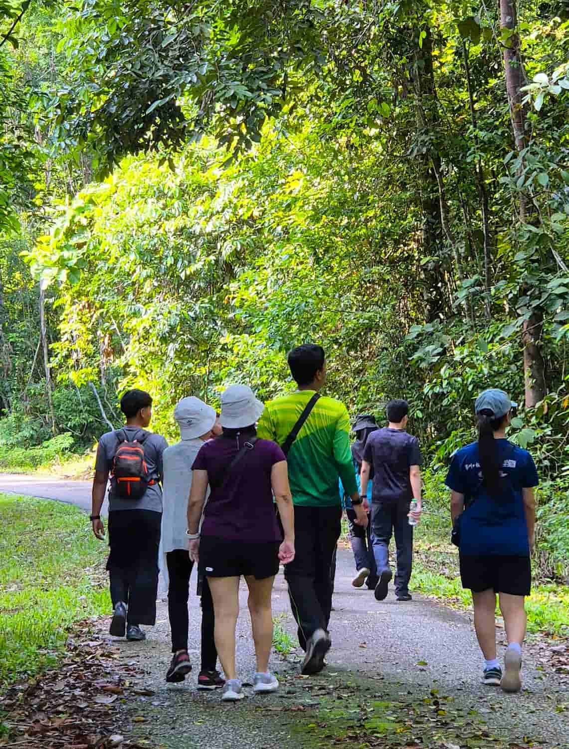 Merapoh, Taman Negara Merapoh, Taman Negara
