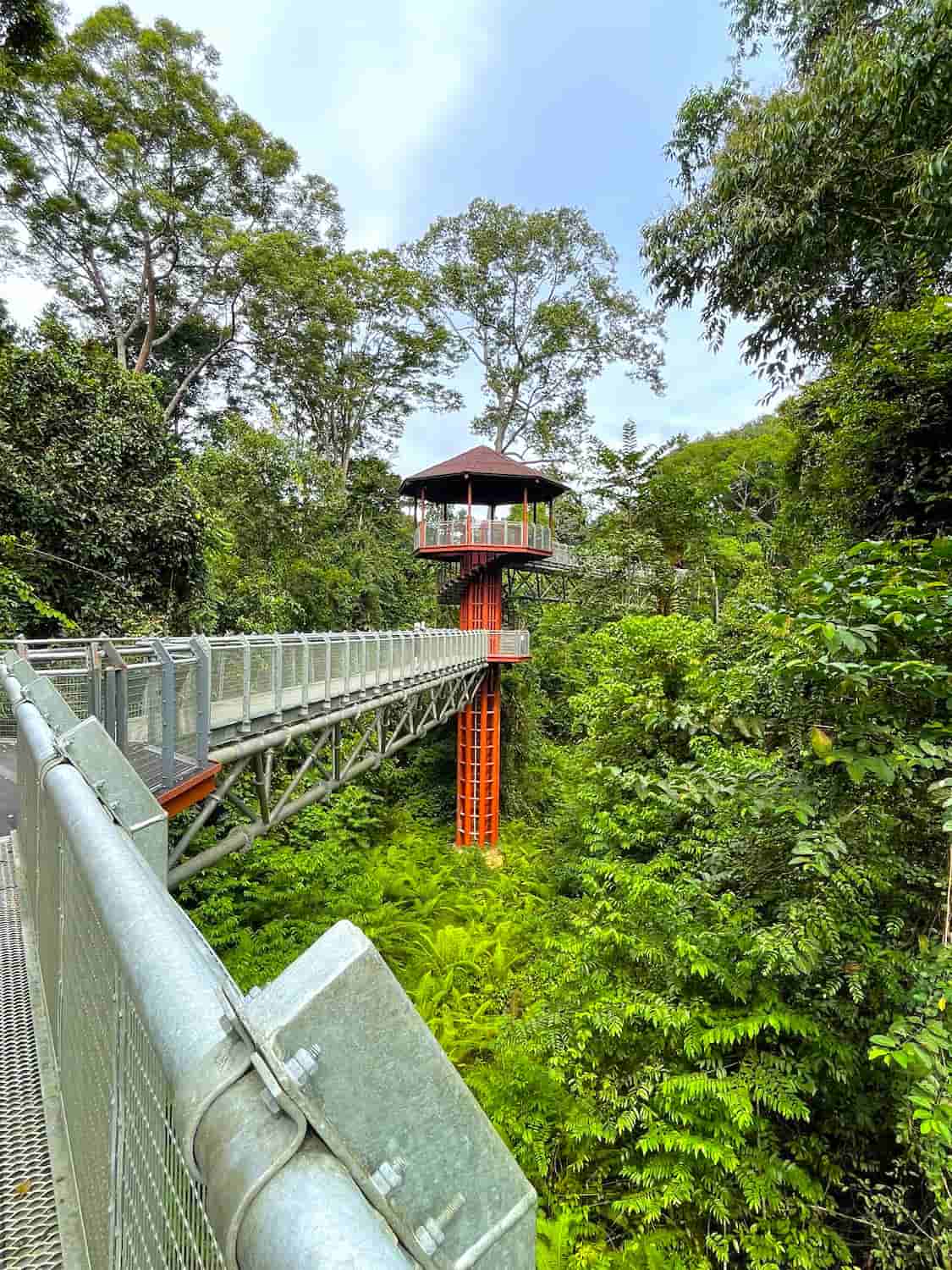 Merapoh, Taman Negara Merapoh, Taman Negara