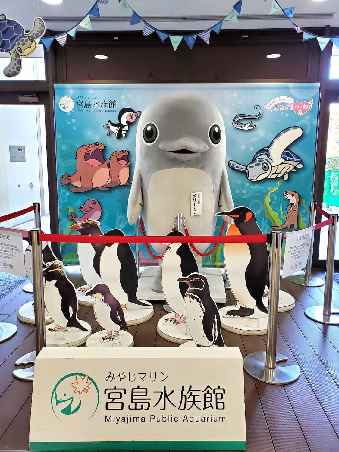 Miyajima Aquarium & West Coast Miyajima Aquarium & West Coast