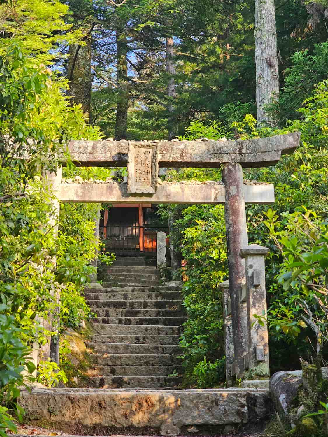 Momijidani Park & Ropeway Base Momijidani Park & Ropeway Base