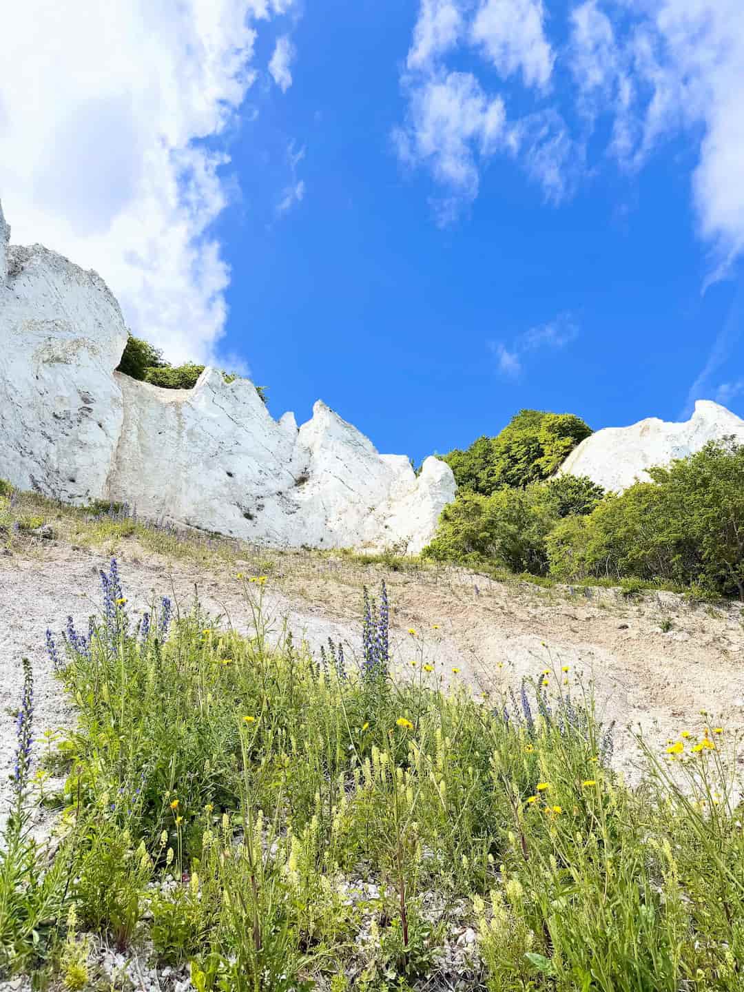 Møns Klint, Denmark Møns Klint, Denmark