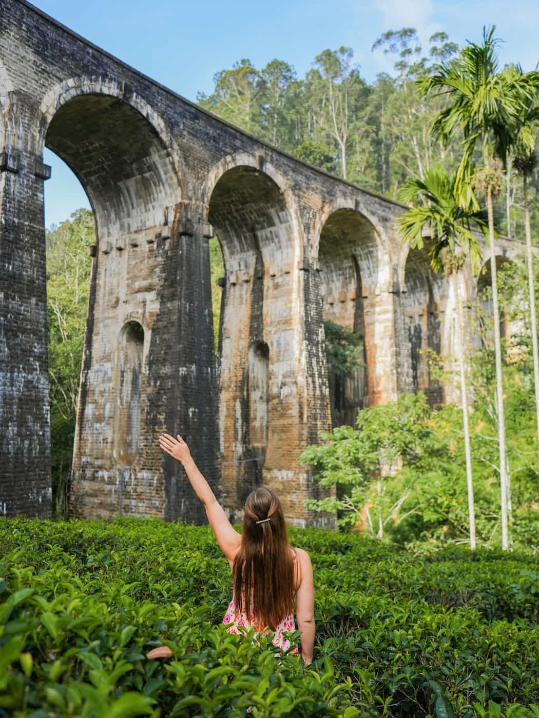 Nine Arch Bridge Area, Sri Lanka Nine Arch Bridge Area, Sri Lanka