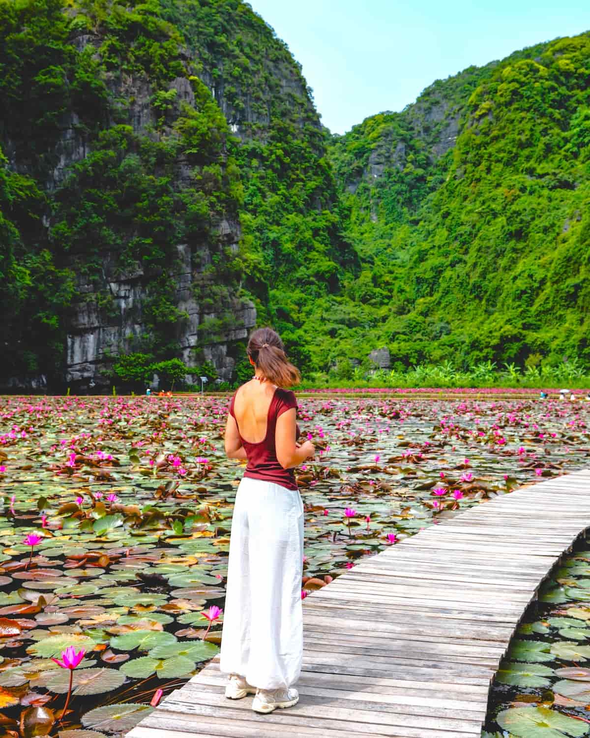 Ninh Binh City, Tam Coc