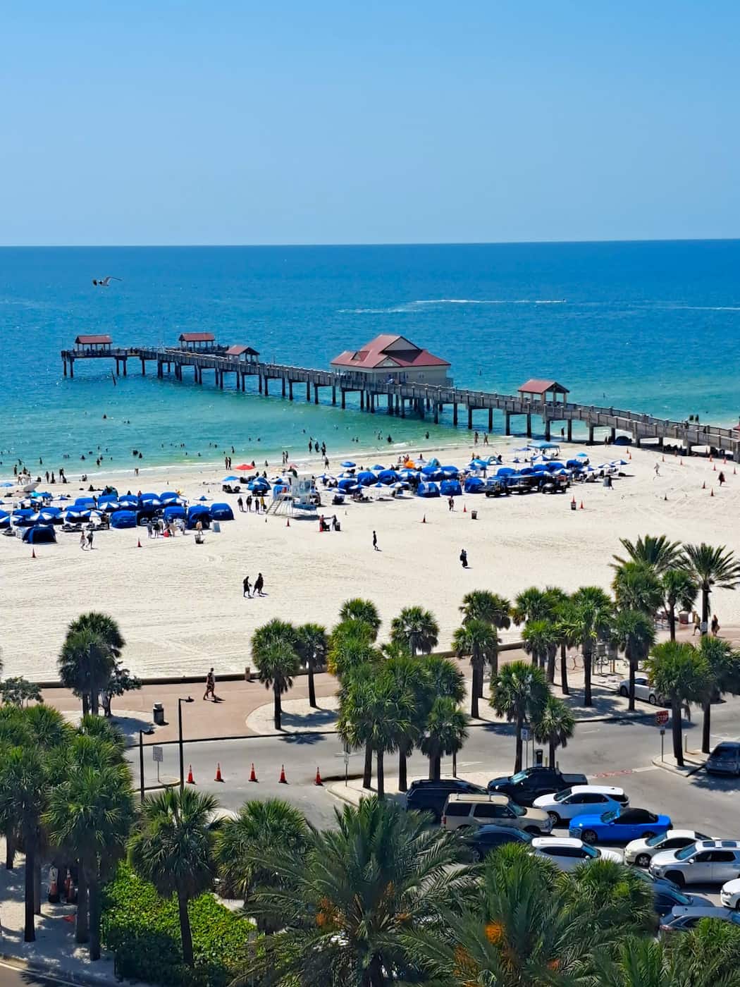 North Clearwater Beach North Clearwater Beach