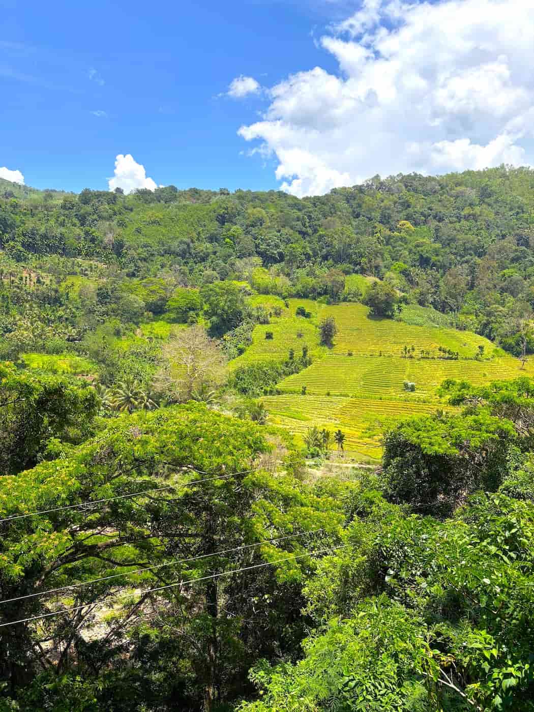 Outside of Ella, Sri Lanka Outside of Ella, Sri Lanka