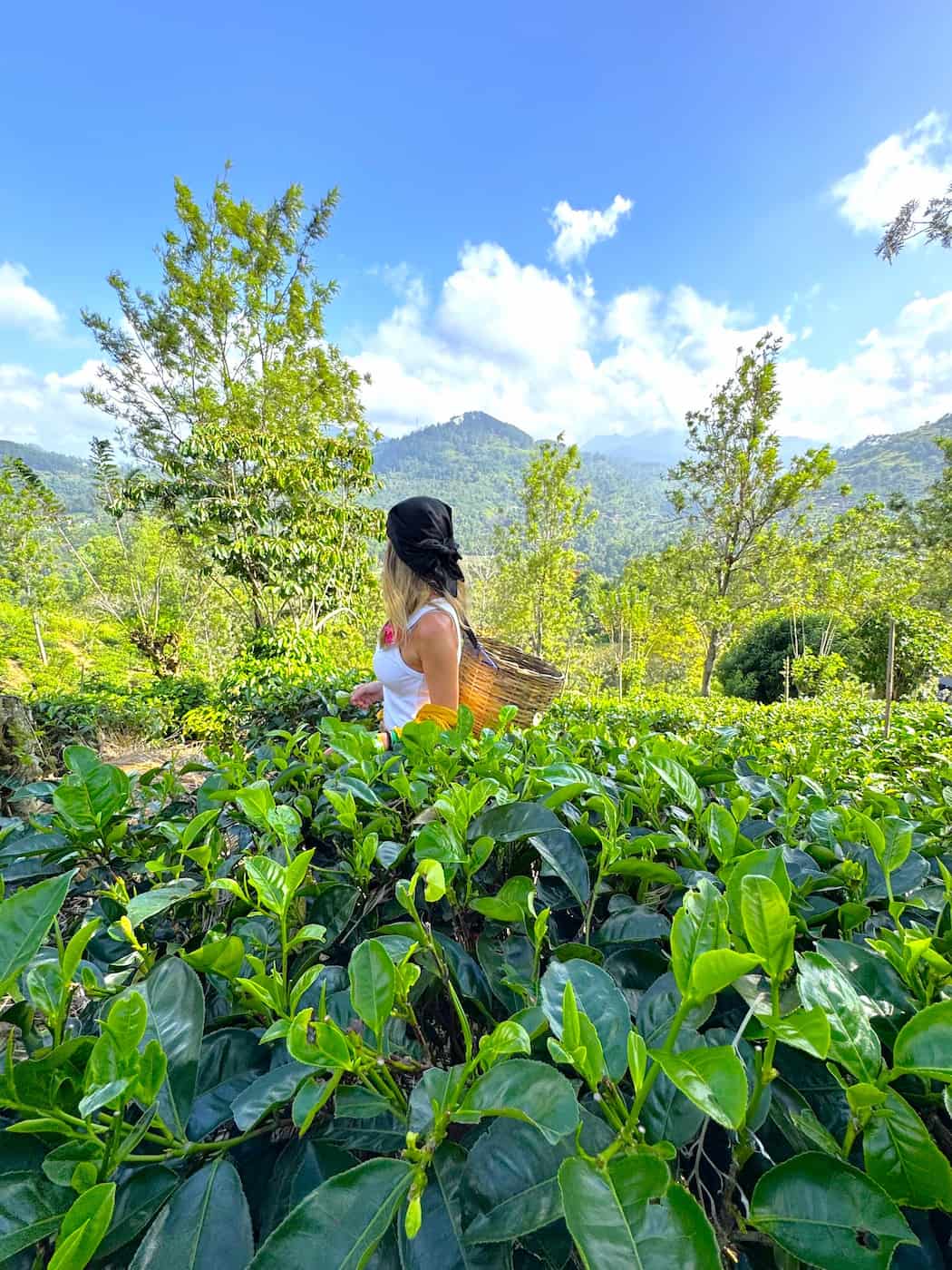 Outside of Ella, Sri Lanka Outside of Ella, Sri Lanka