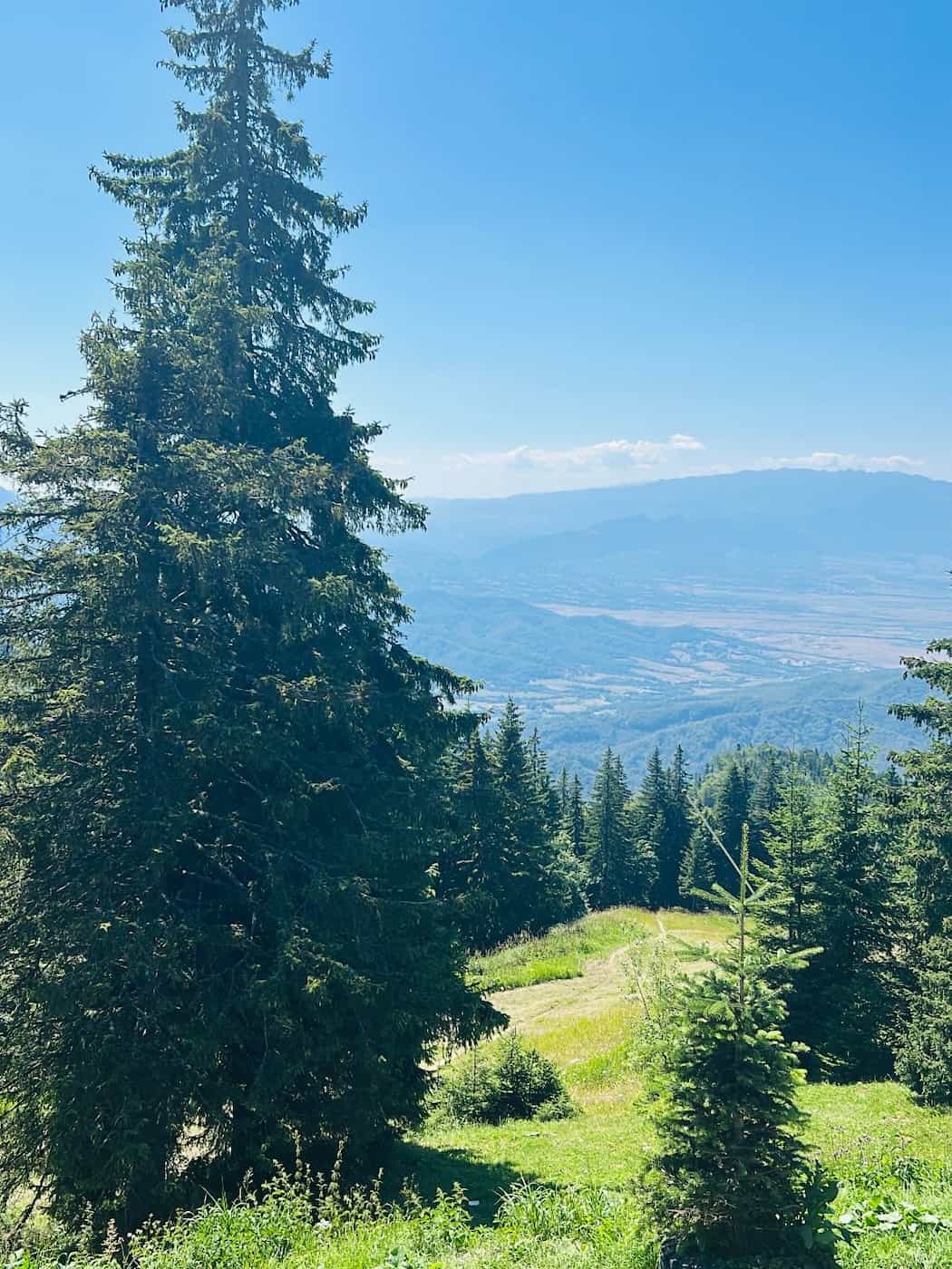 Poiana Brașov Poiana Brașov