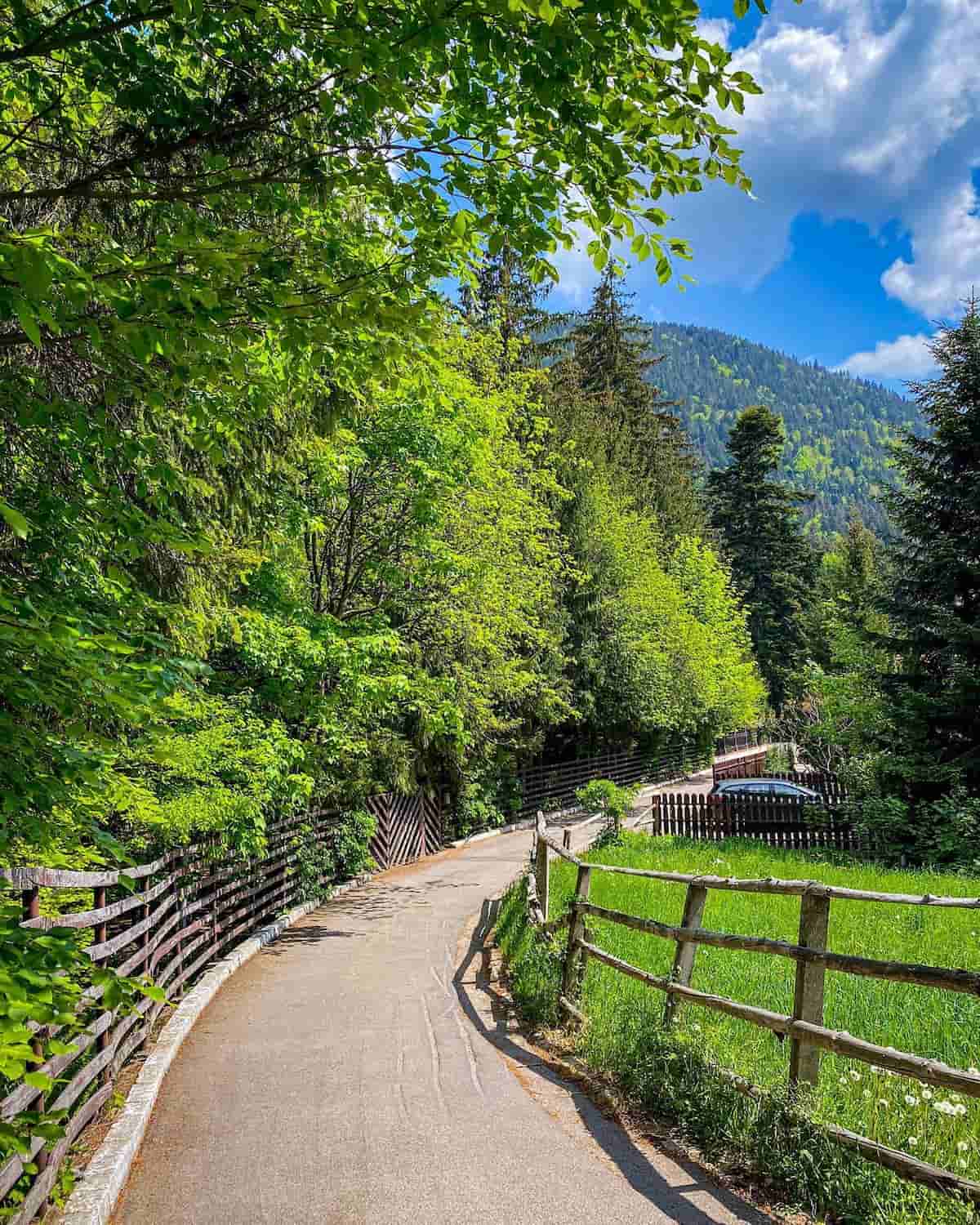 Poiana Brașov Poiana Brașov