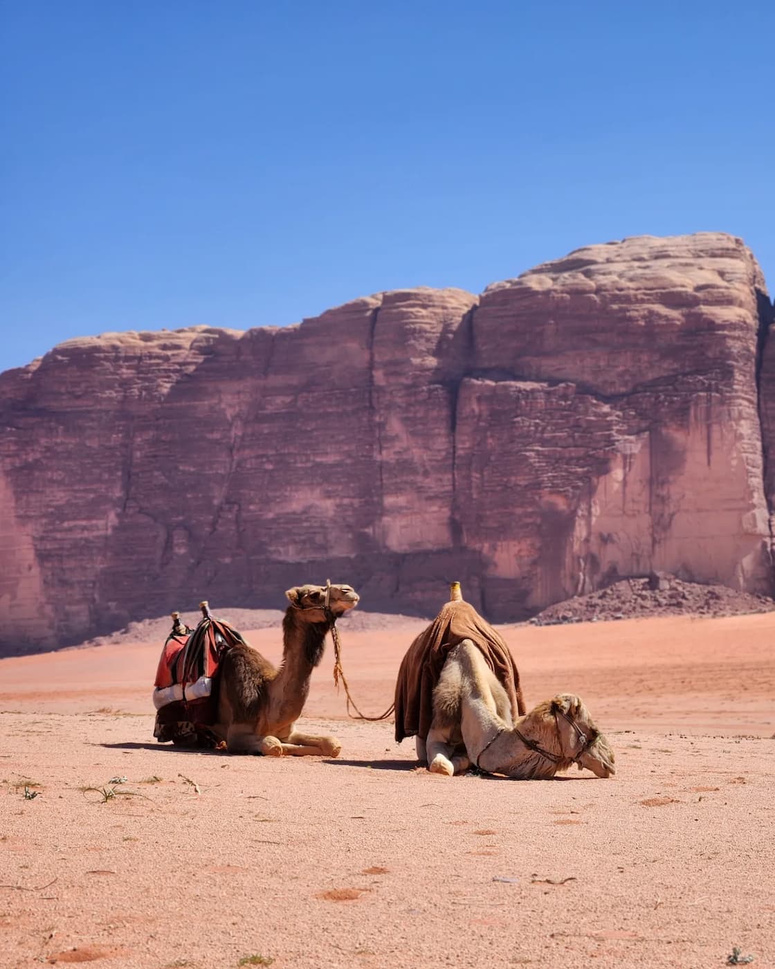 Protected Area Core, Wadi Rum Protected Area Core, Wadi Rum
