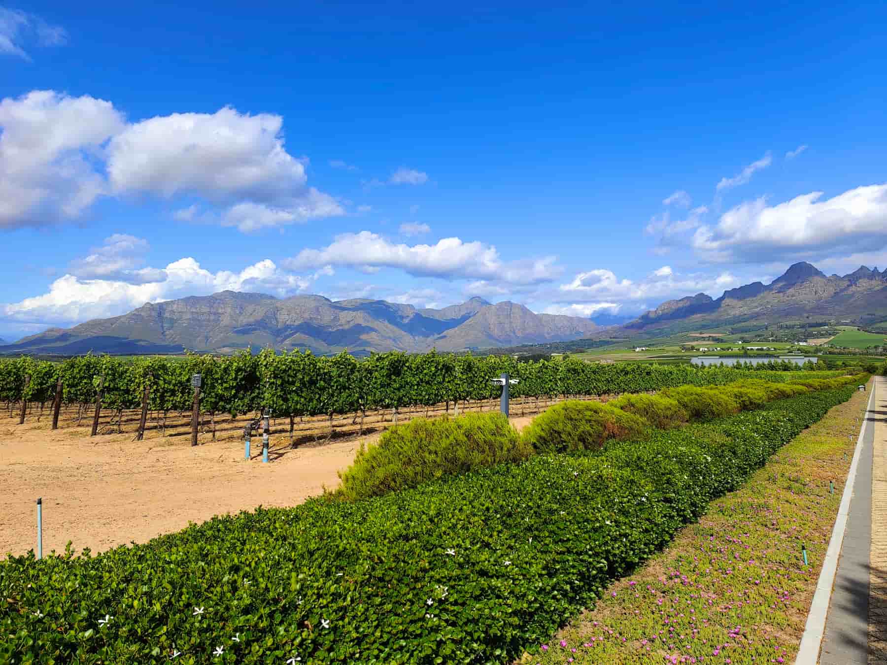 R44 Corridor, Stellenbosch R44 Corridor, Stellenbosch