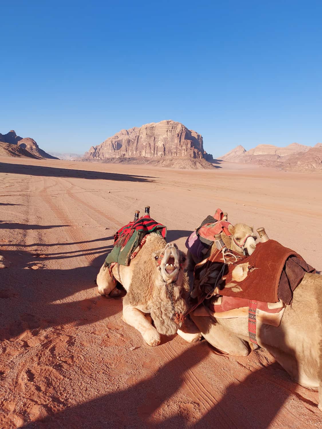 Rum Village, Wadi Rum Rum Village, Wadi Rum