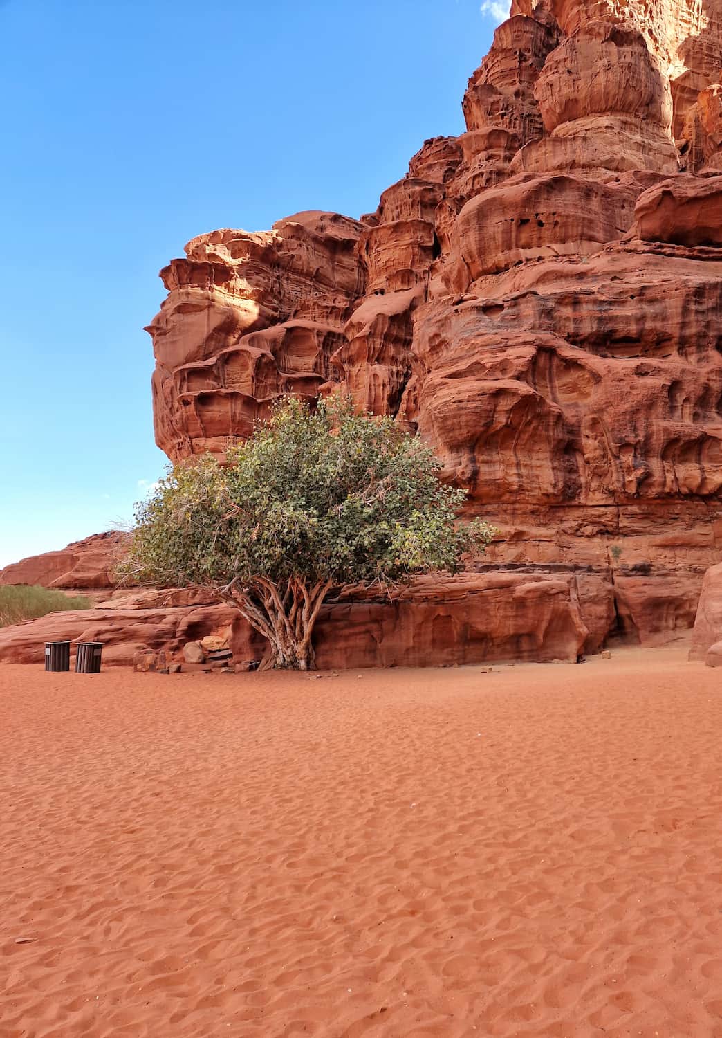 Rum Village, Wadi Rum (5)