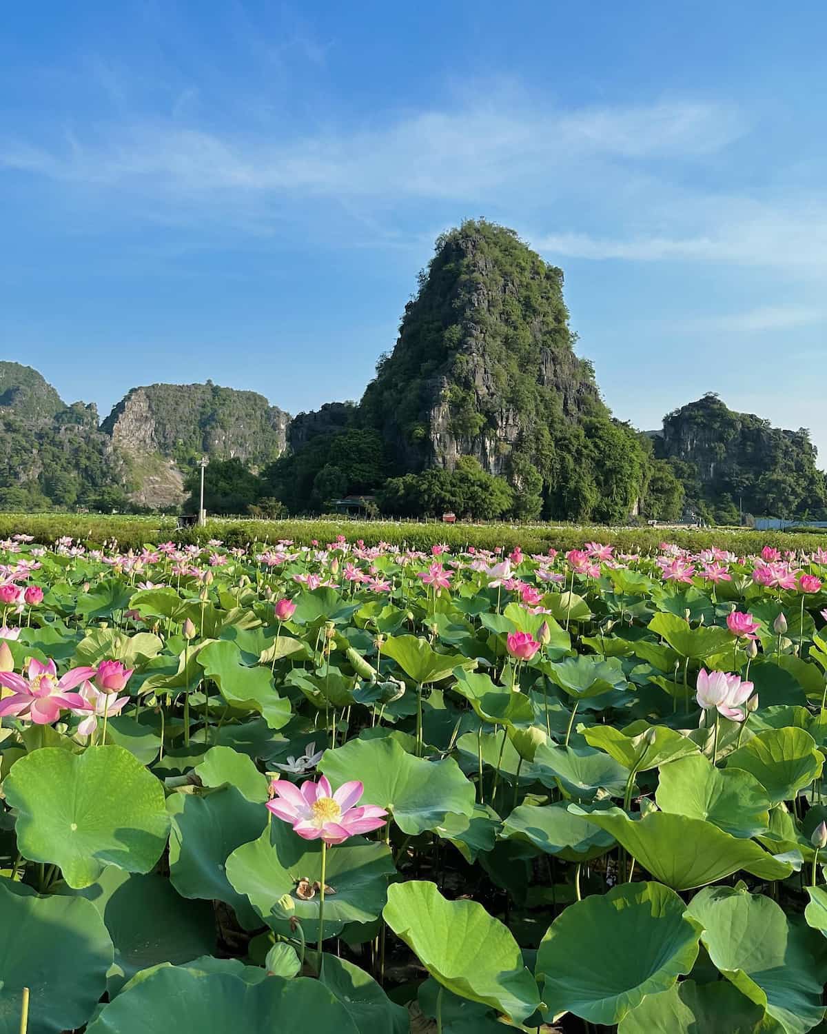 Tam Coc Countryside Tam Coc Countryside