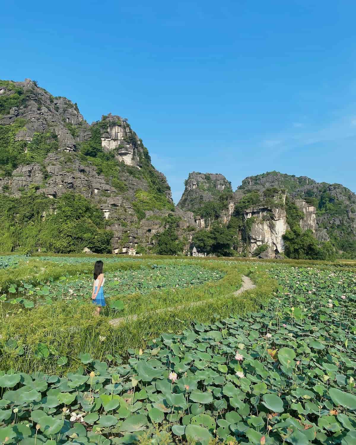 Tam Coc Countryside Tam Coc Countryside