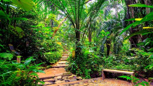 Taman Negara, Malaysia