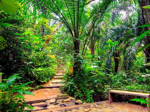 Taman Negara, Malaysia