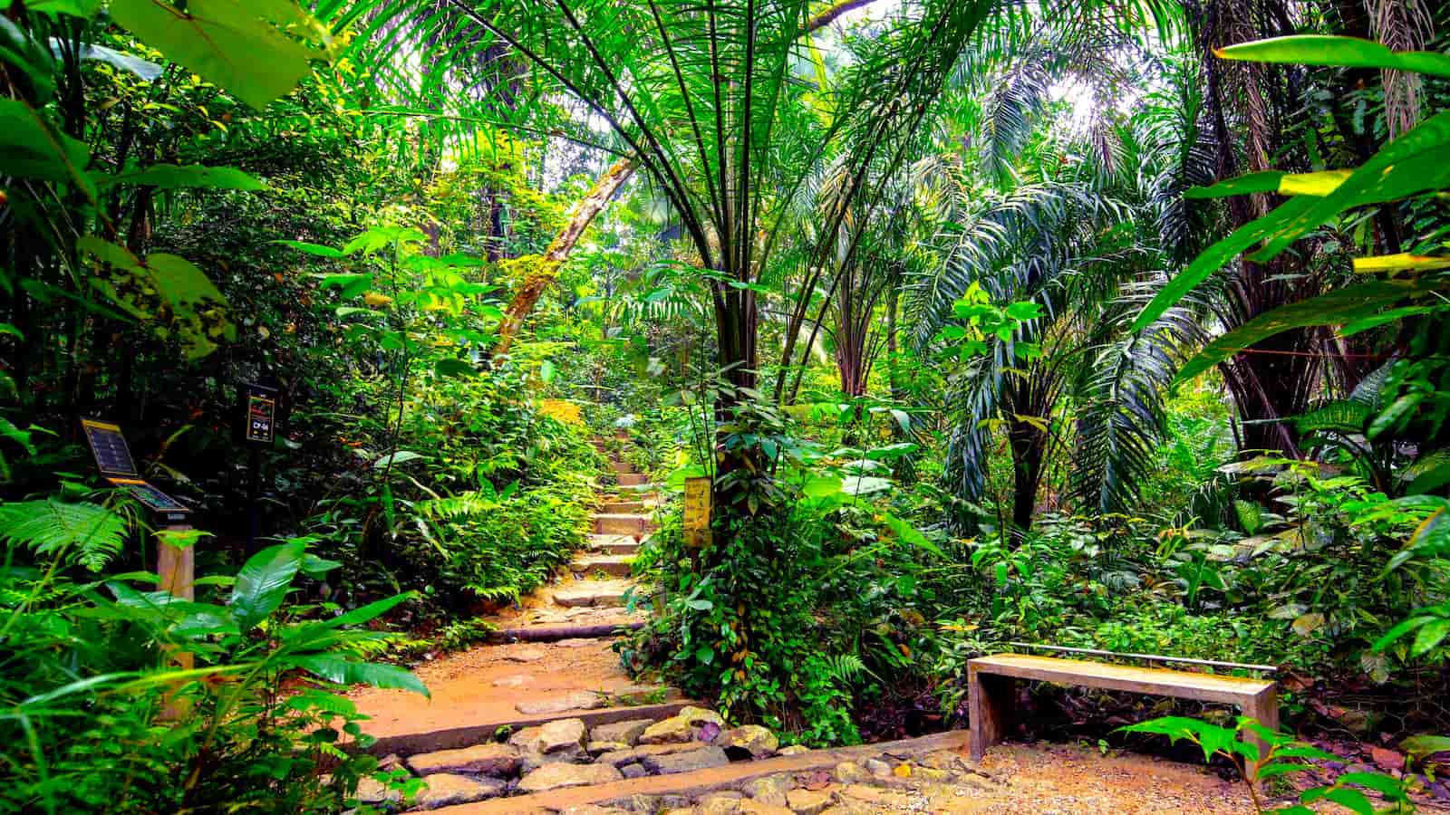 Taman Negara, Malaysia