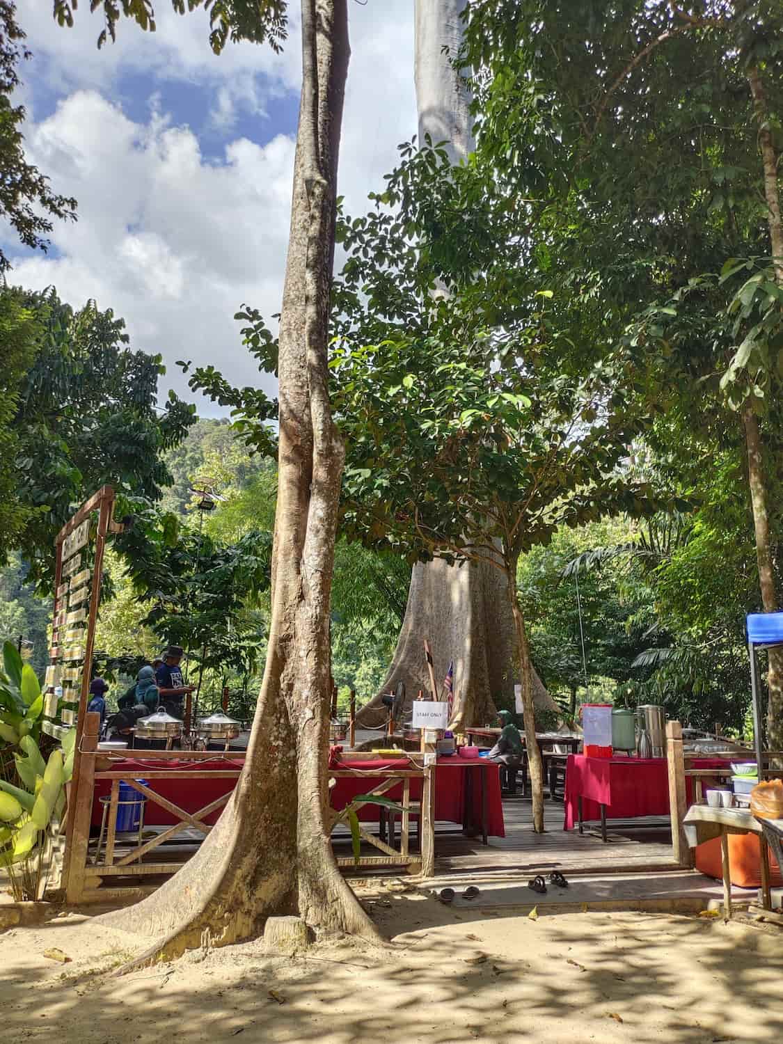 Taman Negara Taman Negara, Malaysia