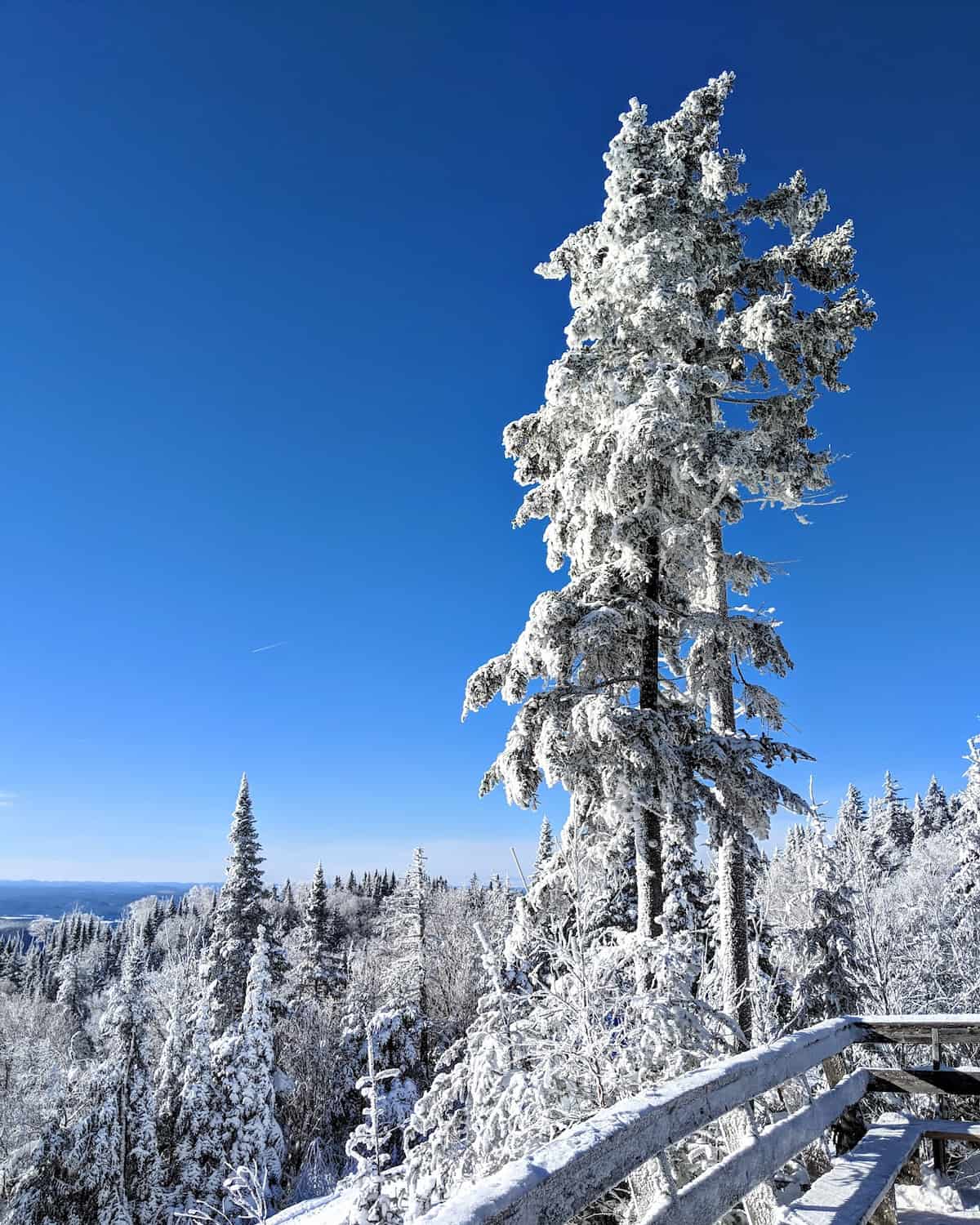 Versant Soleil, Mont-Tremblant