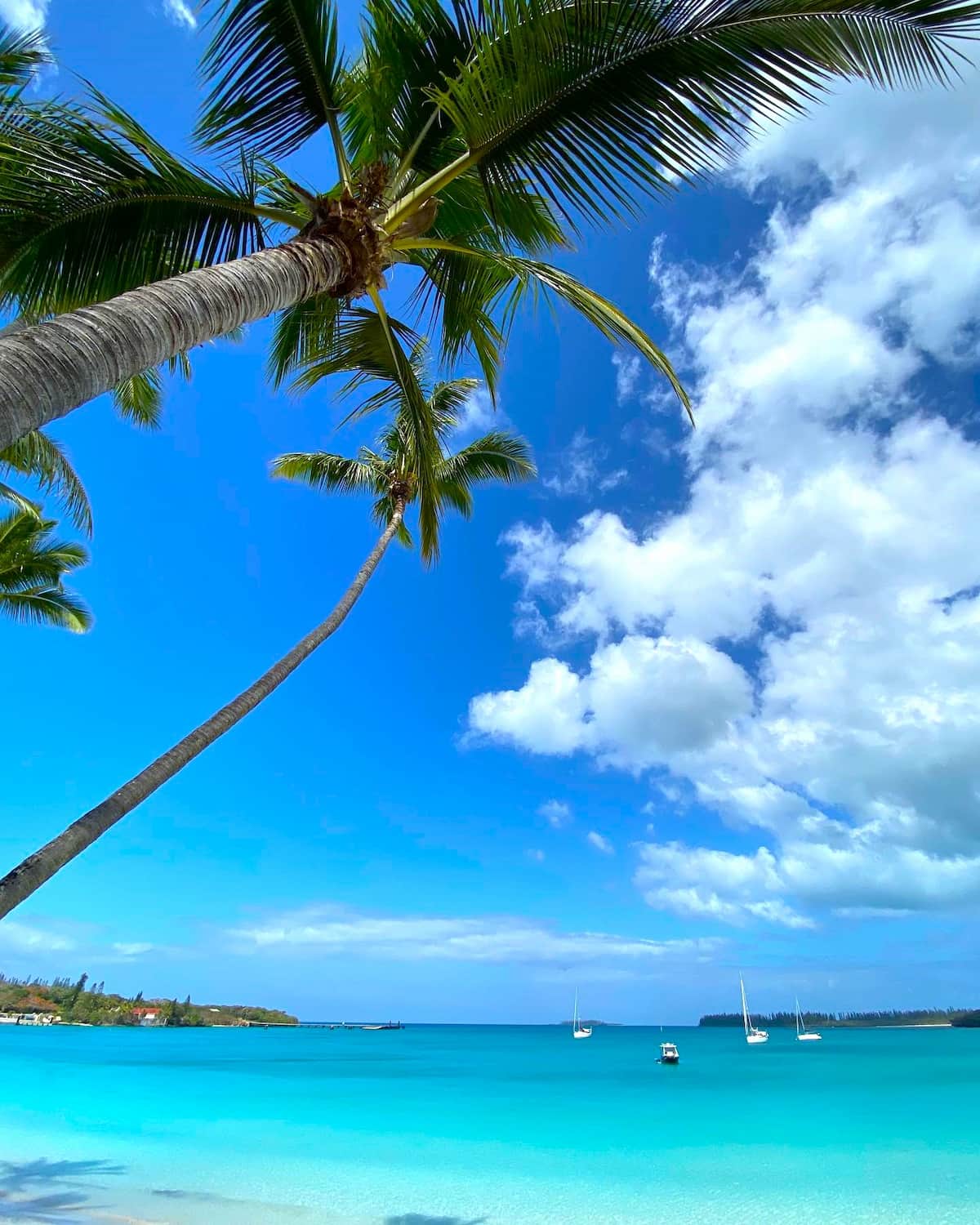 le des Pins, New Caledonia le des Pins, New Caledonia