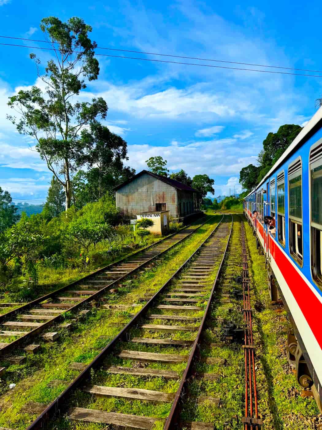 Ambewela & Horton Plains, Nuwara Eliya Ambewela & Horton Plains, Nuwara Eliya