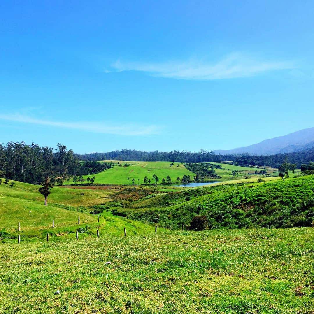Ambewela & Horton Plains, Nuwara Eliya Ambewela & Horton Plains, Nuwara Eliya