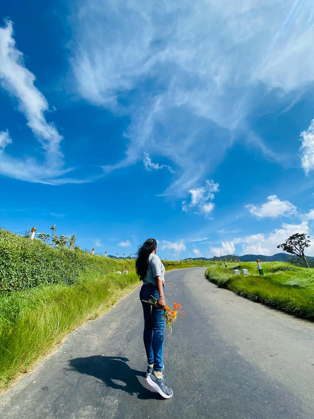 Ambewela & Horton Plains, Nuwara Eliya Ambewela & Horton Plains, Nuwara Eliya
