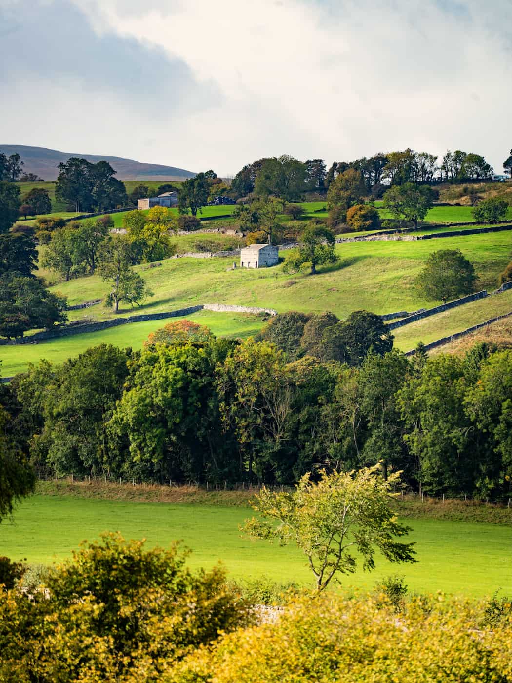 Aysgarth, Yorkshire Dales National Park Aysgarth, Yorkshire Dales National Park