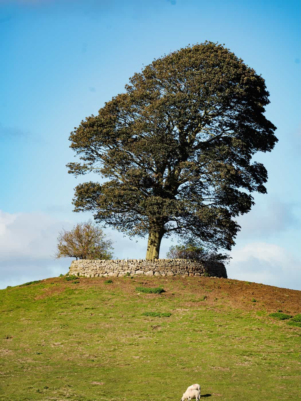 Aysgarth, Yorkshire Dales National Park Aysgarth, Yorkshire Dales National Park